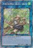 Yu-Gi-Oh Card - RA03-EN045 - WYNN THE WIND CHARMER, VERDANT  (platinum secret rare holo) (Mint)