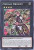 Yu-Gi-Oh Card - RATE-EN053 - ZOODIAC DRIDENT (secret rare holo) (Mint)