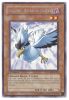 Yu-Gi-Oh Card - RGBT-EN010 - BLACKWING - BLIZZARD THE FAR NORTH (rare) (Mint)