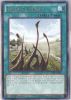 Yu-Gi-Oh Card - DPRP-EN029 - DRAGON SHRINE (rare) (Mint)