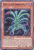 Yu-Gi-Oh Card - FUEN-EN001 - PREDAPLANT SARRACENIANT (super rare holo) (Mint)