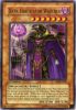 Yu-Gi-Oh Card - SD6-EN001 - DARK ERADICATOR WARLOCK (ultra rare holo) [1st Edition] (Mint)