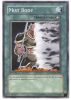 Yu-Gi-Oh Card - SDSC-EN022 - MIST BODY (common) (Mint)