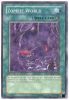 Yu-Gi-Oh Card - SDZW-EN017 - ZOMBIE WORLD (common) (Mint)