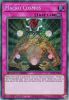 Yu-Gi-Oh Card - SGX3-ENF19 - MACRO COSMOS  (secret rare holo) (Mint)