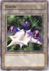 Yu-Gi-Oh Card - SOVR-ENTK2 - TOKEN: SPIDER (common) (Mint)