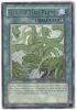 Yu-Gi-Oh Card - SOVR-EN060 - RAGING MAD PLANTS (rare) (Mint)