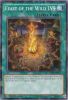 Yu-Gi-Oh Card - SP15-EN041 - FEAST OF THE WILD LV5 (shatterfoil rare) (Mint)