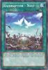 Yu-Gi-Oh Card - SP15-EN045 - RAIDRAPTOR - NEST (shatterfoil rare) (Mint)