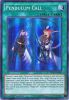 Yu-Gi-Oh Card - PEVO-EN036 - PENDULUM CALL (super rare holo) (Mint)