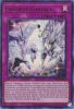 Yu-Gi-Oh Card - POTE-EN069 - FAVORITE CONTACT (ultra rare holo) (Mint)