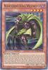 Yu-Gi-Oh Card - DUSA-EN016 - WANDERING KING WILDWIND (ultra rare holo) (Mint)