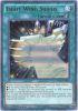 Yu-Gi-Oh Card - DUSA-EN039 - LIGHT WING SHIELD (ultra rare holo) (Mint)