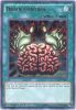 Yu-Gi-Oh Card - DUSA-EN046 - BRAIN CONTROL (ultra rare holo) (Mint)