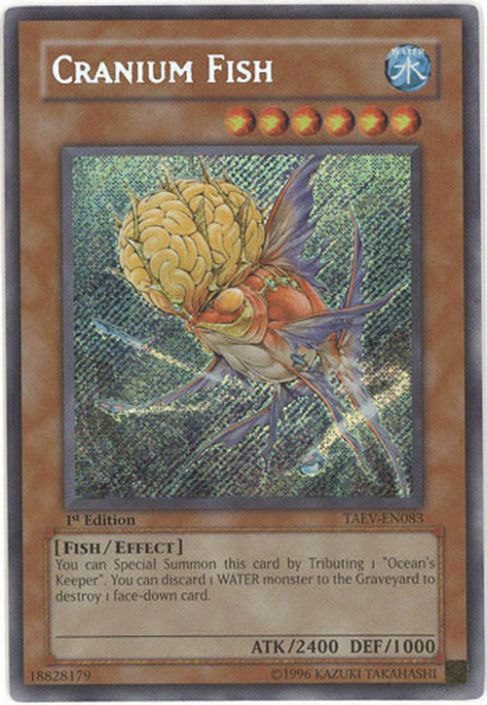 yugioh zexal card sleeves Yu-Gi-Oh Strrelse - Zexal - Yuma Card back (Bagside) Yugioh lommer (50  stk.)