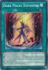 Yu-Gi-Oh Card - TDIL-EN059 - DARK MAGIC EXPANDED (common) (Mint)