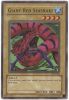 Yu-Gi-Oh Card - TP2-003 - GIANT RED SEASNAKE (super rare holo) (Mint)