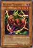 Yu-Gi-Oh Card - TP4-015 - MYSTIC TOMATO (common) (Mint)