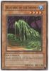 Yu-Gi-Oh Card - TP5-EN014 - BEASTKING OF THE SWAMPS (common) (Mint)