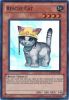 Yu-Gi-Oh Card - TU03-EN002 - RESCUE CAT (super rare holo) (Mint)