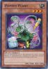 Yu-Gi-Oh Card - TU05-EN006 - PUPPET PLANT (rare) (Mint)