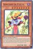 Yu-Gi-Oh Card - WC11-EN002 - SORCIERE DE FLEUR (ultra rare holo) (Mint)