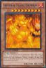 Yu-Gi-Oh Card - WCPP-EN011 - INFERNAL FLAME EMPEROR (rare) (Mint)